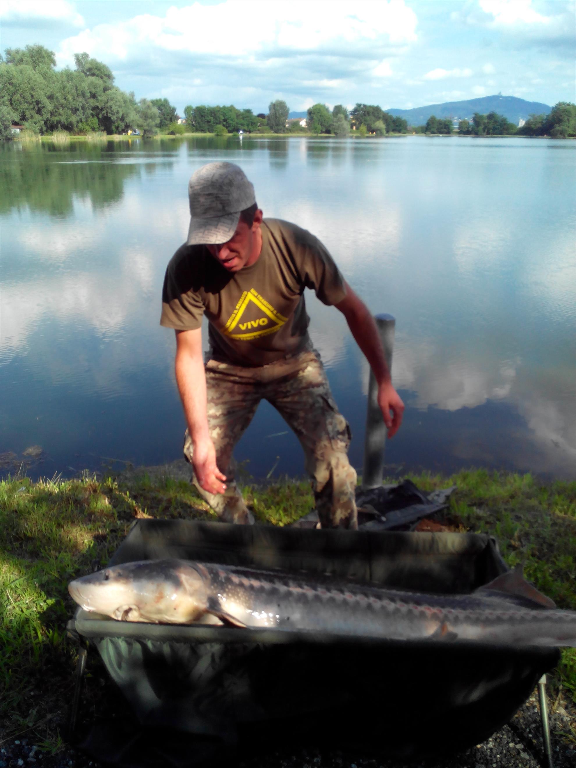 florian tanasa - img20140726173240.jpg